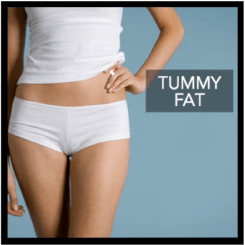 tummy fat