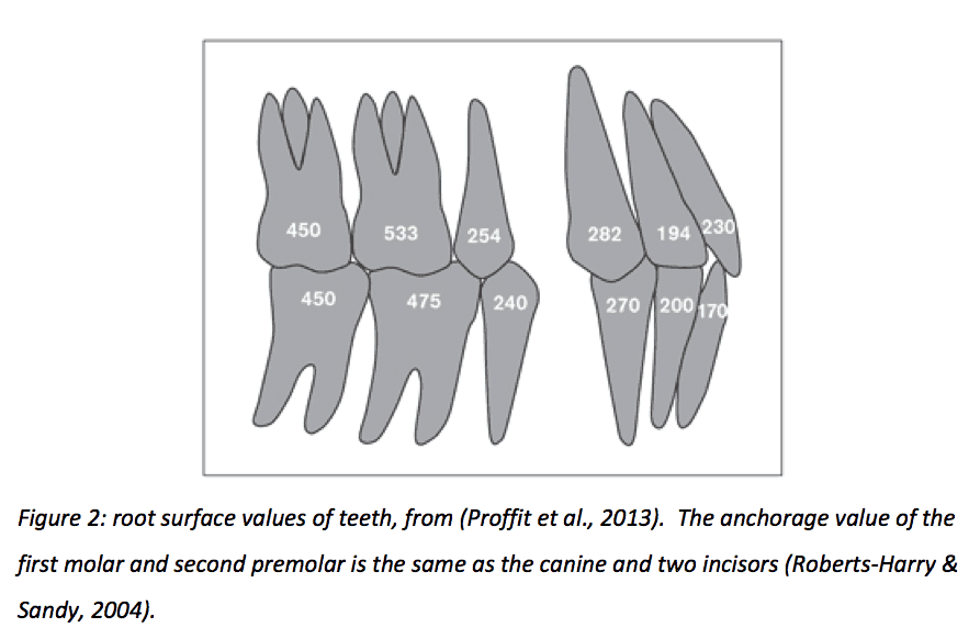 Root Surface Values of Teeth